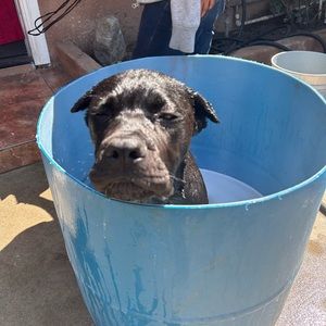 Meet your Posher, Jc